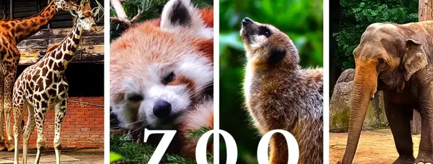 Зоопарки Польща