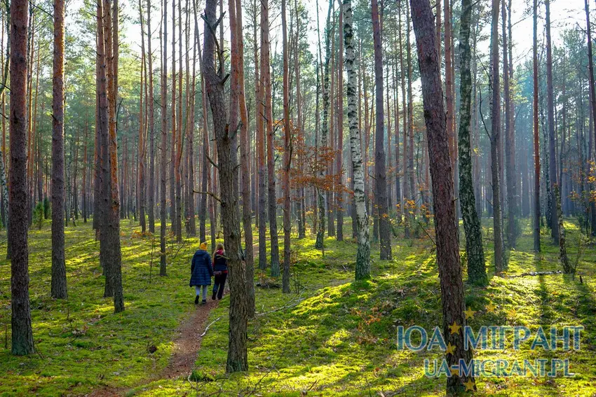 Кампіноський національний парк 