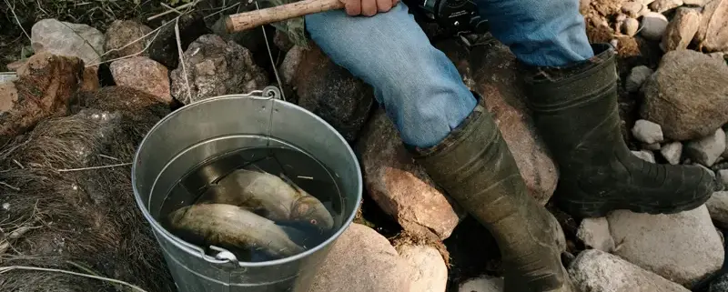 Риболовля в Німеччині для українців