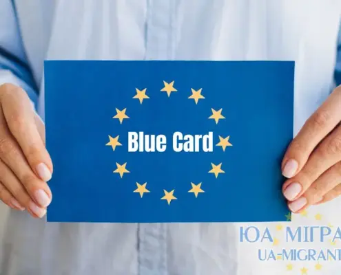 Блакитна карта в Німеччині 2025
