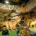 Dino Adventure Park: динозаври повертаються – у Німеччині відкрилася унікальна ігрова зона для дітей