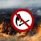 Штрафи за спалювання трави та гілок у Польщі: що потрібно знати в 2025 році
