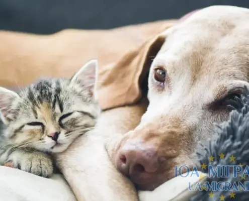 Домашні тварини в Німеччині