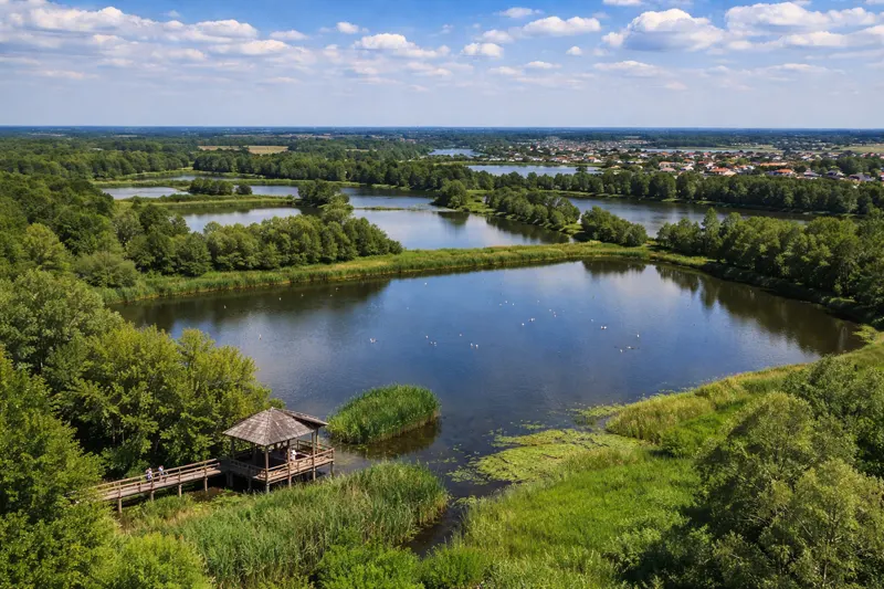 Стави в Міличі