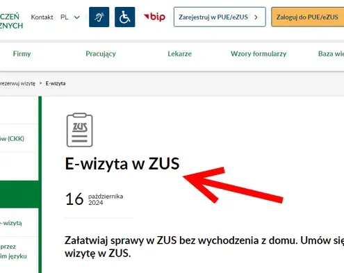 Онлайн-консультація з ZUS
