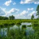 Де побачити дику природу України без натовпів туристів