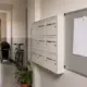 Сусіди в Німеччині