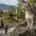 Зоопарк Ліберець (Zoo Liberec)