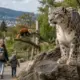 Зоопарк Ліберець (Zoo Liberec)