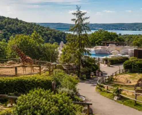 Зоопарк Брно (Zoo Brno)